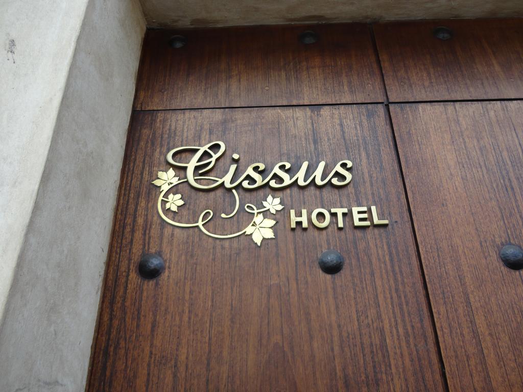 Cissus Hotel Boutique (Adults Only) Antigua Room photo