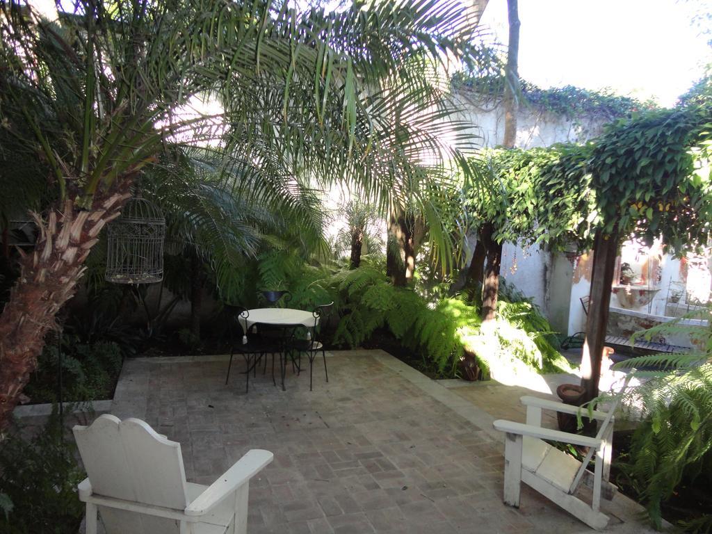 Cissus Hotel Boutique (Adults Only) Antigua Exterior photo