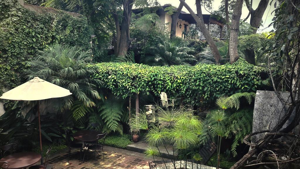 Cissus Hotel Boutique (Adults Only) Antigua Exterior photo